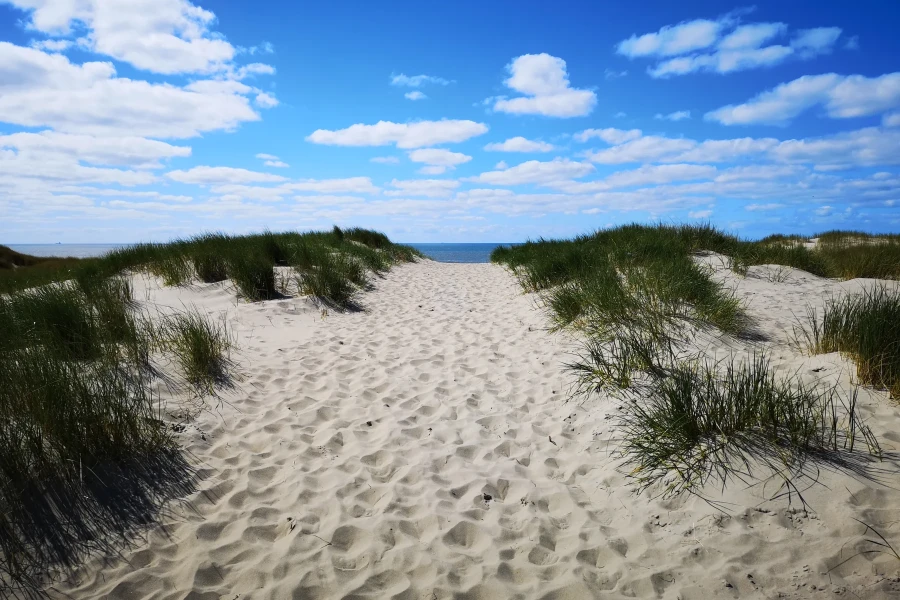 Sandweg durch die Dünen zum Nordseestrand