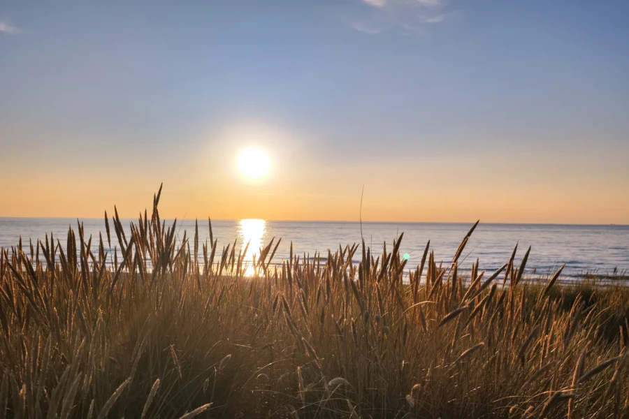 Sonnenuntergang über der Nordsee hinter Dünengras